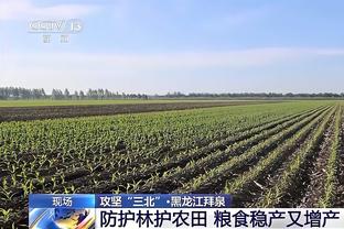 媒体人：假赌黑是恶果而非种子，不挖出坏种子中国足球只能是轮回